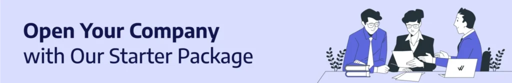 Establish a Company in Turkey