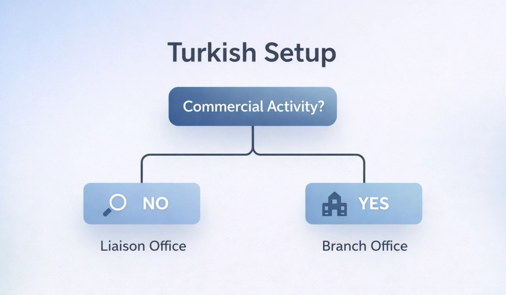 Decision tree showing that non-commercial activity leads to choosing a liaison office in Turkey