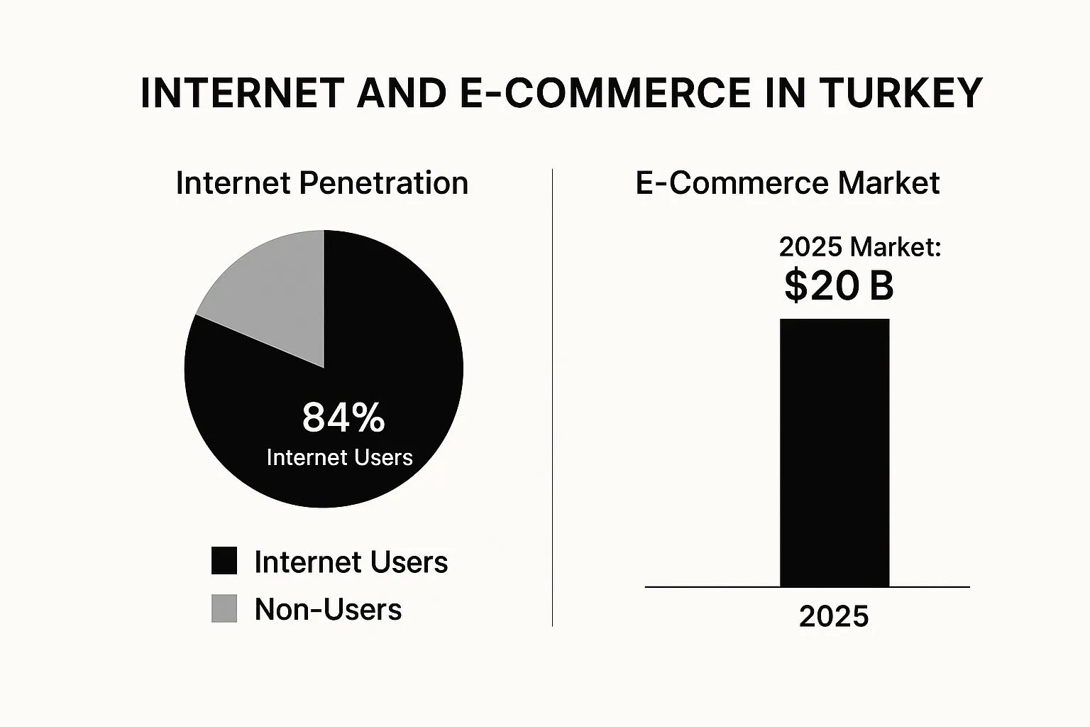 Niche e-commerce business model in Turkey