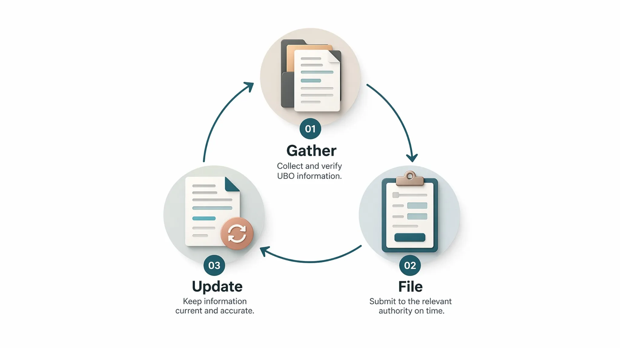 Beneficial owner compliance cycle for identifying reporting and updating UBO information in Turkey